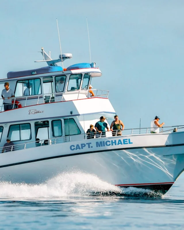 A Robbie's staple hitting the open water! ⚓️🐟 Book your spot on the Captain Michael and spend the day reeling them in. Nothing beats a sunny day out on the deck with lines in the water.