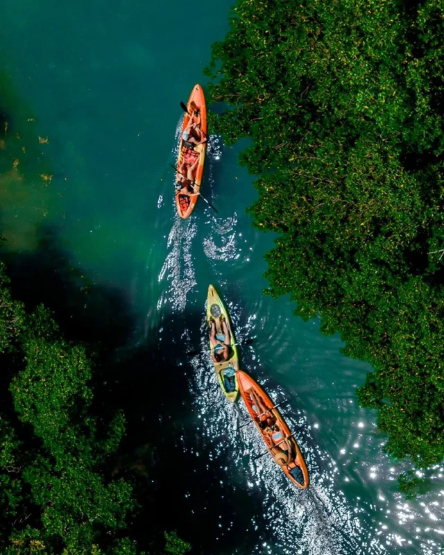 Renting a kayak at Robbie's is the ultimate way to spend a sunny afternoon paddling through the stunning Keys scenery with your favorite people. ☀️🌊