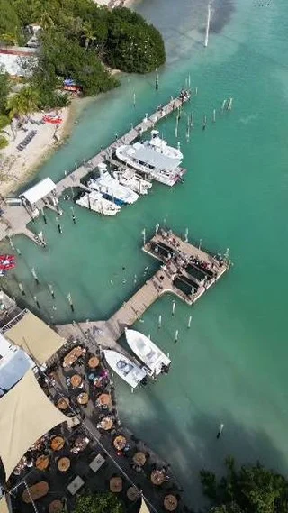 Prepare for the ultimate jump scare! 😱🐟 These tarpon don't play when it comes to snack time. One second it’s calm, the next you’re covered in salt water and adrenaline. There’s a reason this is the most famous dock in the world! 🌊✨