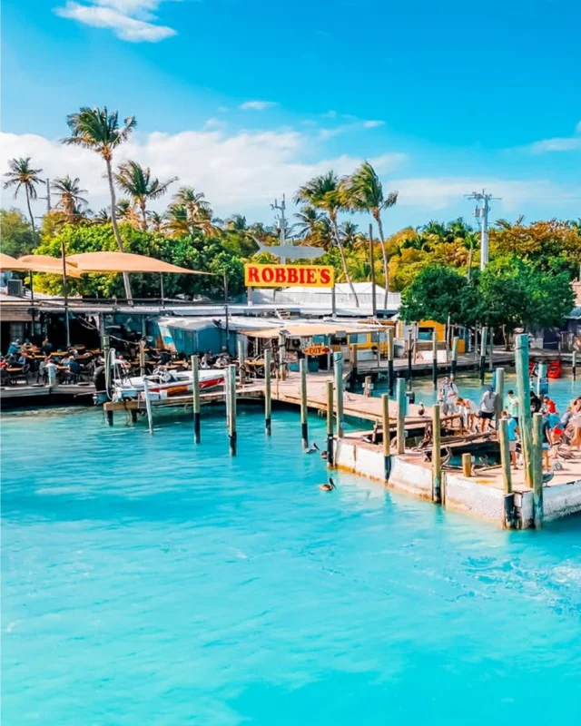 Welcome to the heart of Islamorada! ☀️🌊 A stop at the iconic Robbie's Marina is an absolute must on any road trip down south. Grab a cold drink, walk the docks, look out over the deep blue, and soak up that endless sunshine. Your ultimate island adventure starts right here