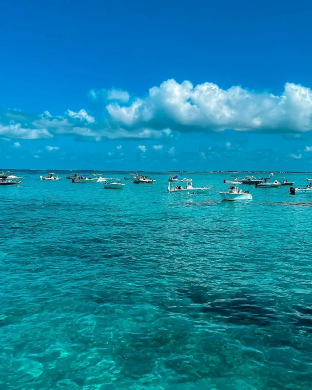 Be your own captain for the day! ⚓️🛥️ With a boat rental from Robbie's, you can explore the crystal-clear waters of Islamorada at your own pace. Discover hidden sandbars, snorkel the reef, or just cruise the deep blue. Book your vessel today and let the adventure begin.