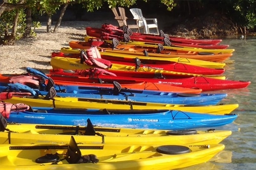 How to paddle board