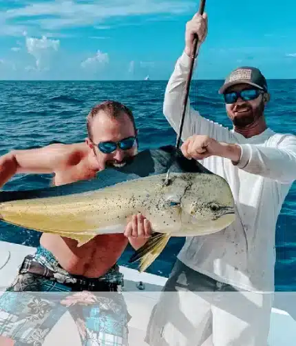 Split Charters