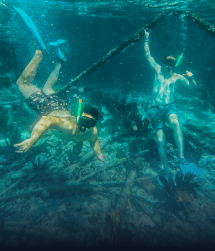 Men snorkeling in Islamorada