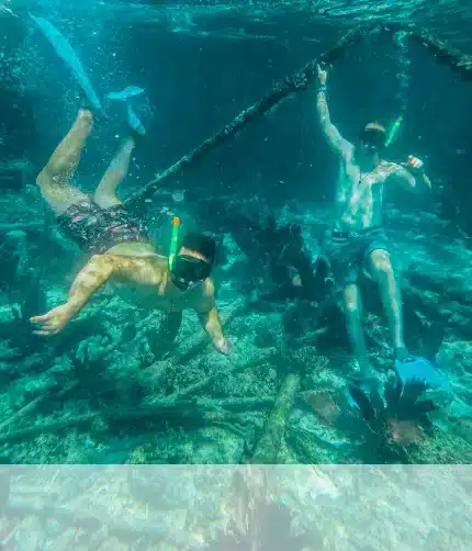 Snorkel