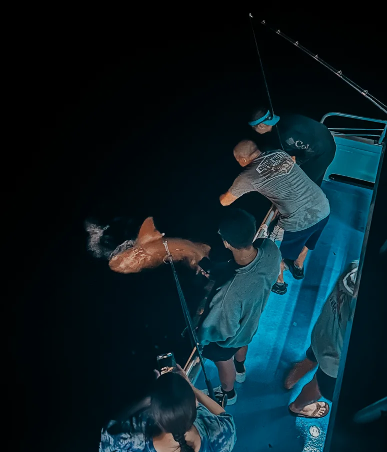 Islamorada Night Fishing