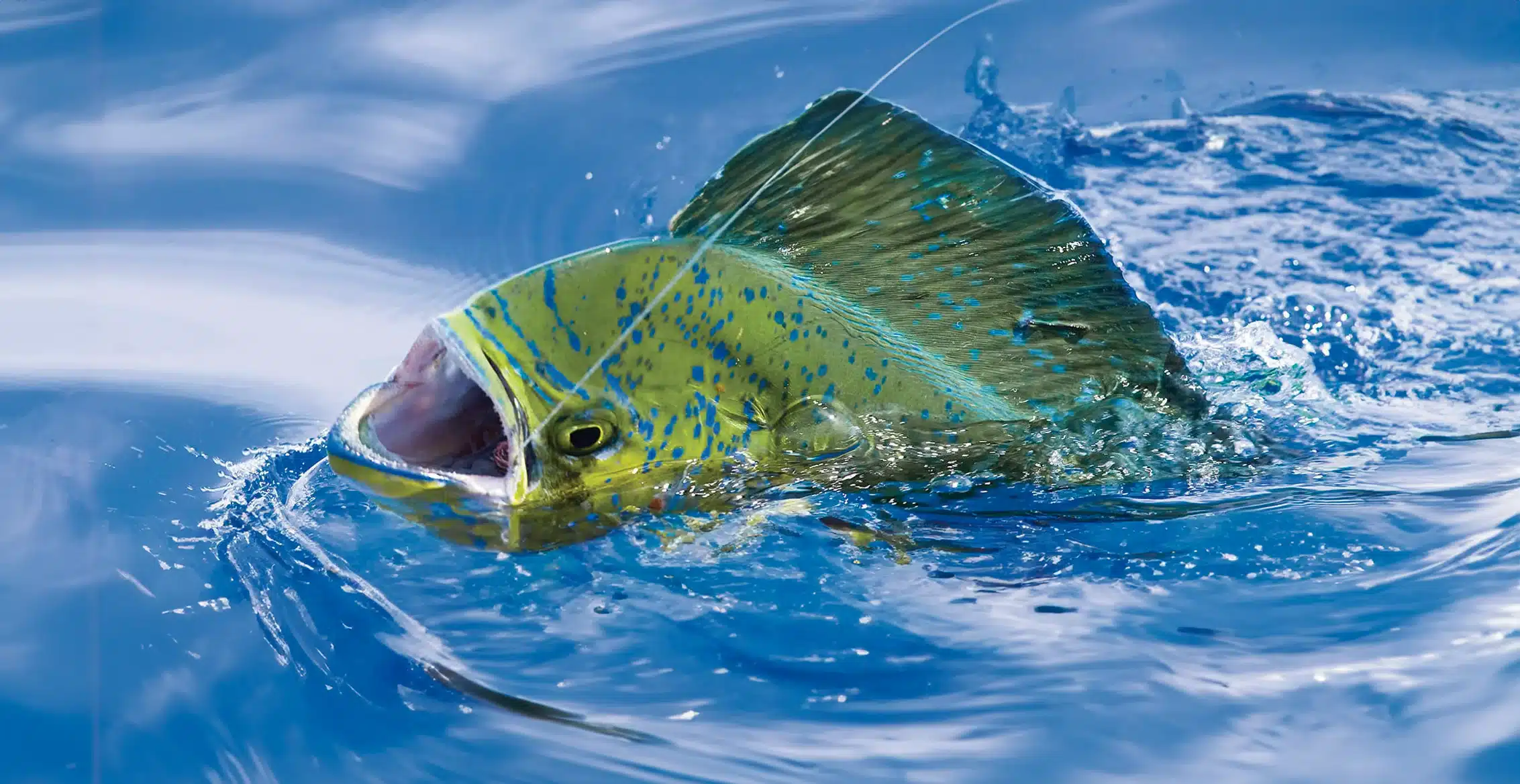 Offshore Fishing