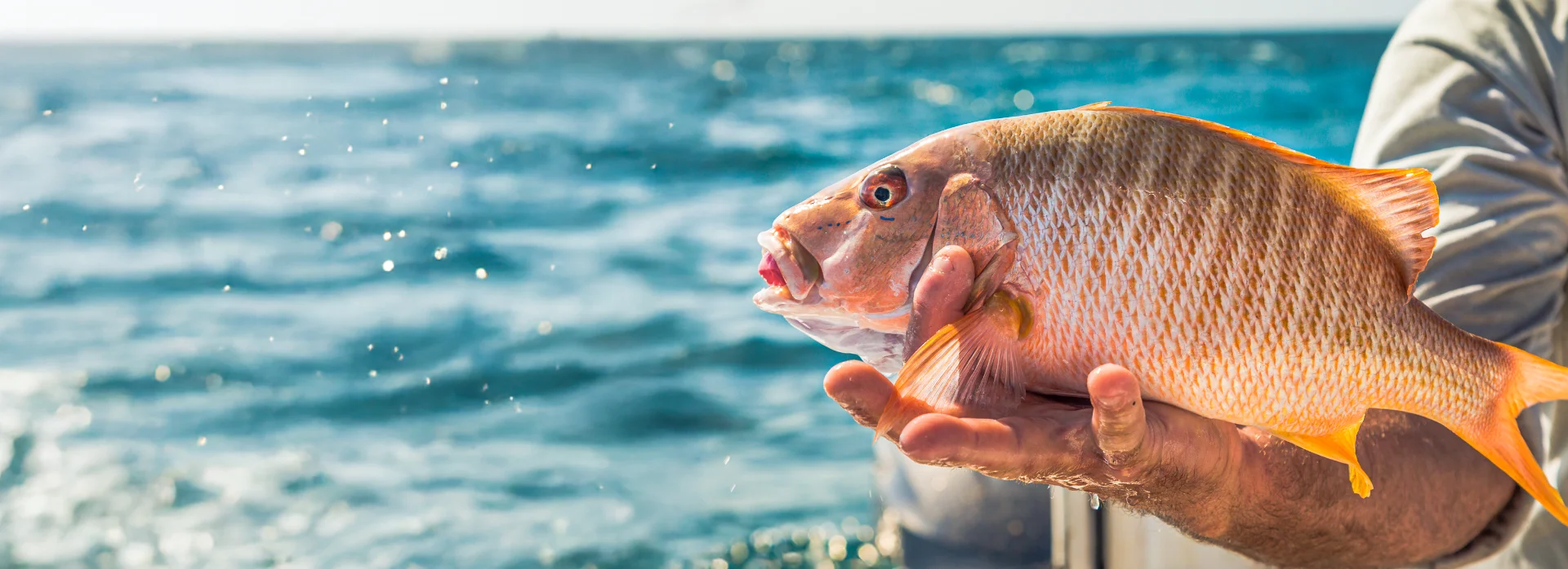Why Winter Is Ideal for Reef and Wreck Fishing in the Florida Keys