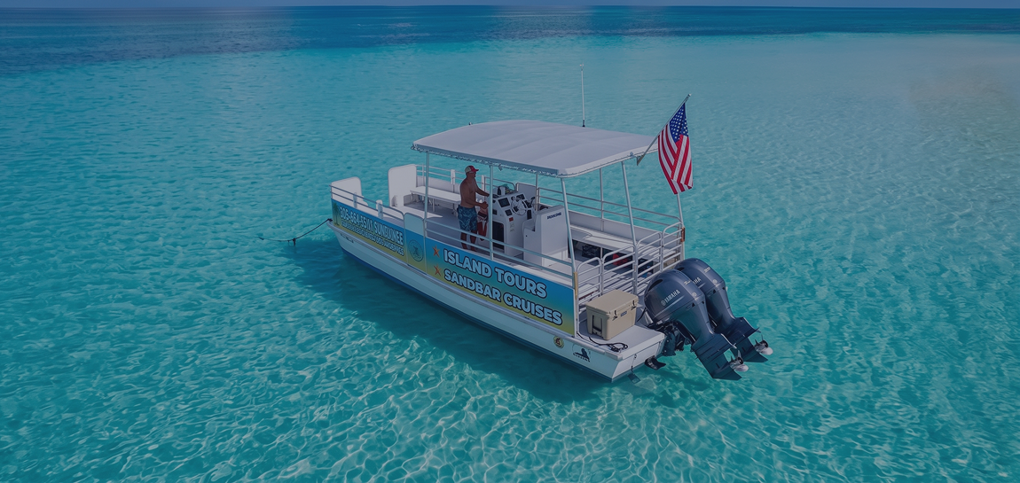 Tarpon Feeding in Islamorada, Florida