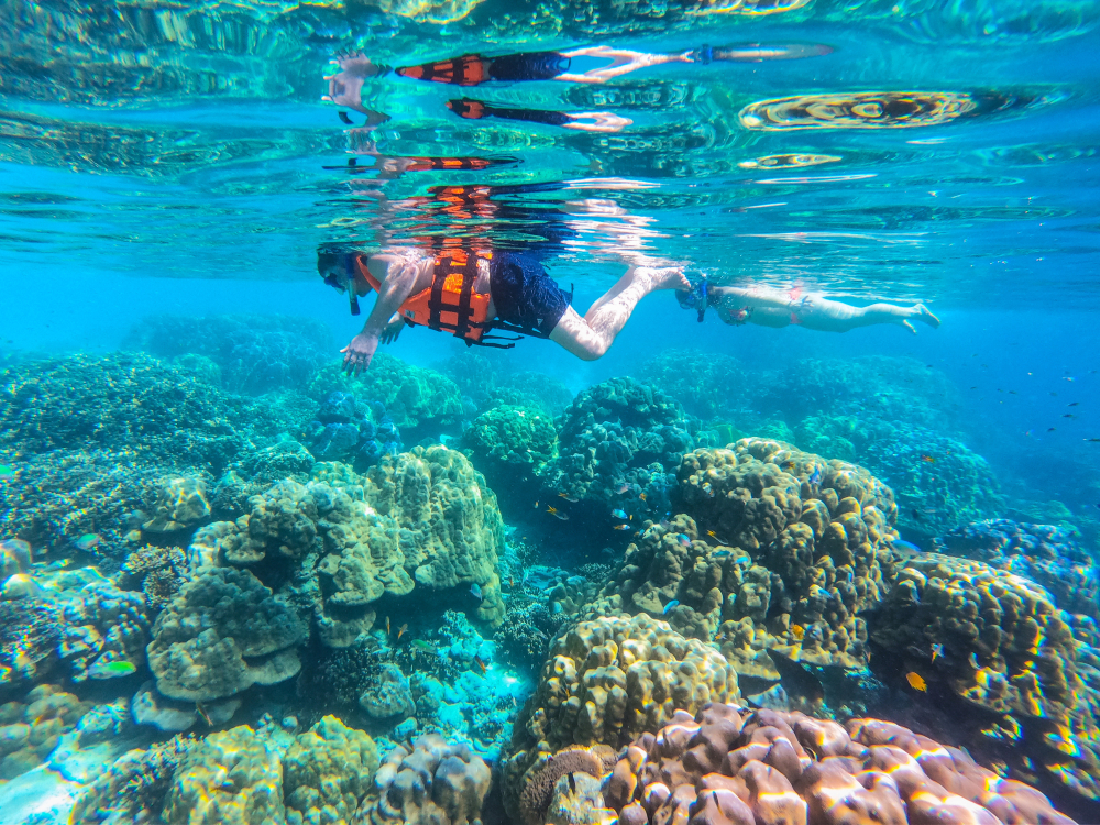 Best Snorkeling Gear