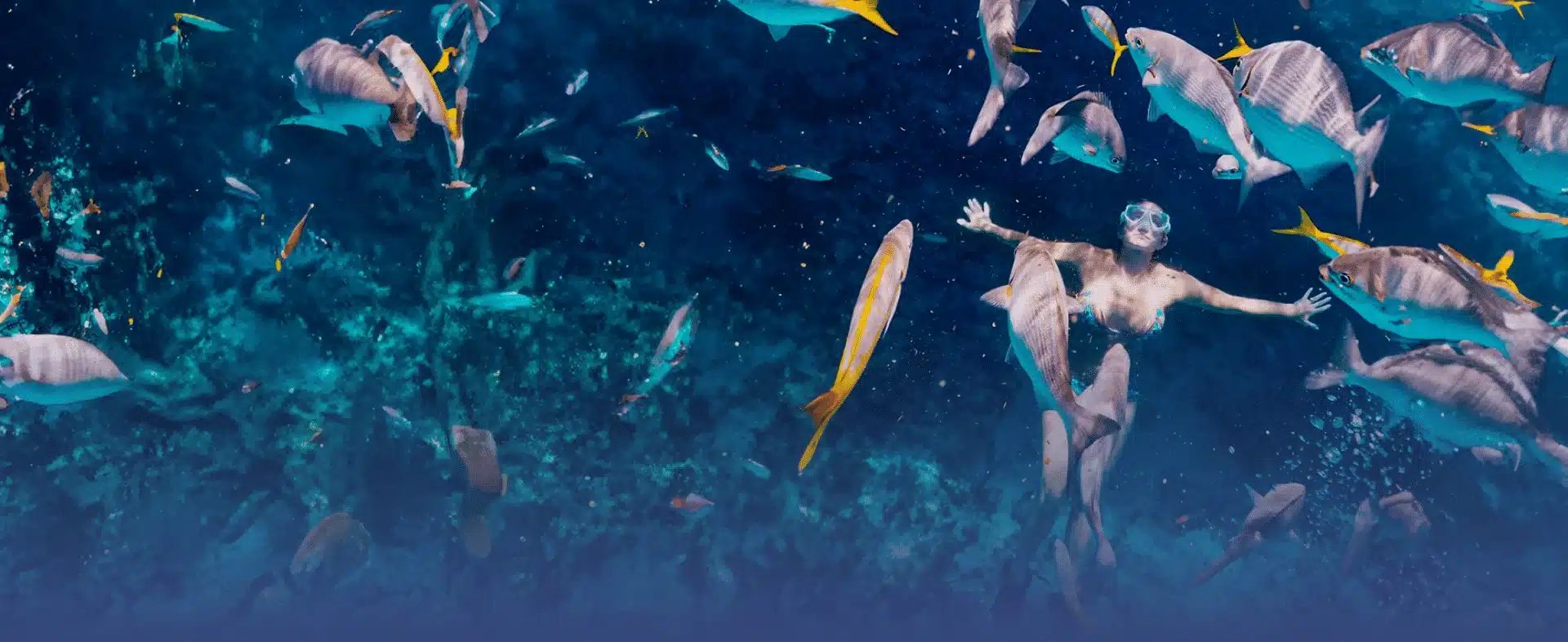 Snorkeling