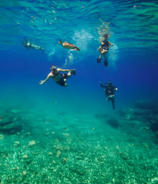 Snorkeling Vs Snuba Diving