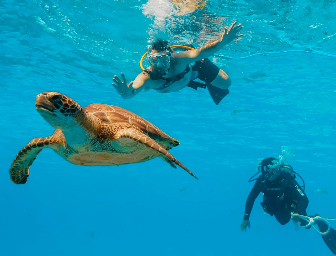 Snuba Diving Tours in Islamorada
