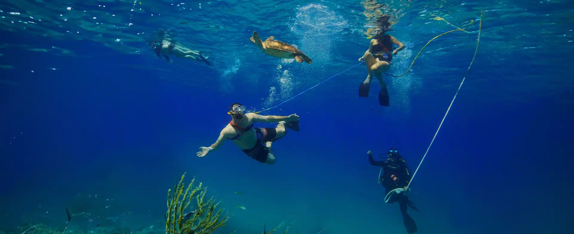What is snuba diving?