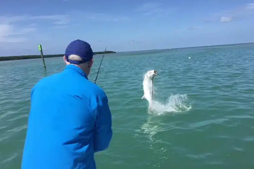 Tarpon and Shark Fishing